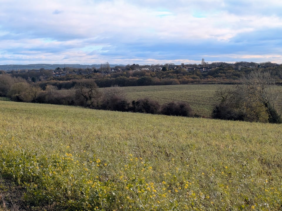 Woodhouse from Grange Lane (Nov 2025)