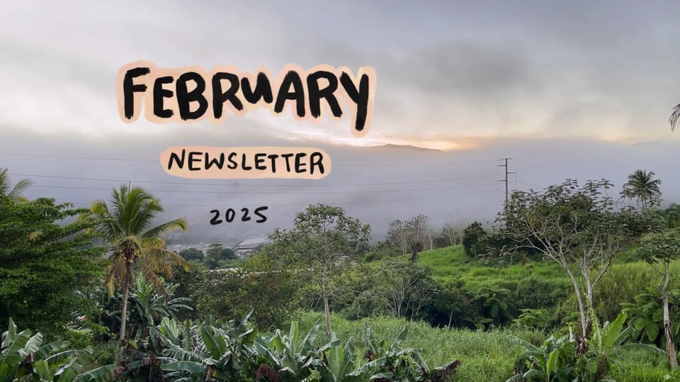 A foggy purplish sunrise behind a lush green Puerto Rican landscape with the text "February Newsletter 2025"