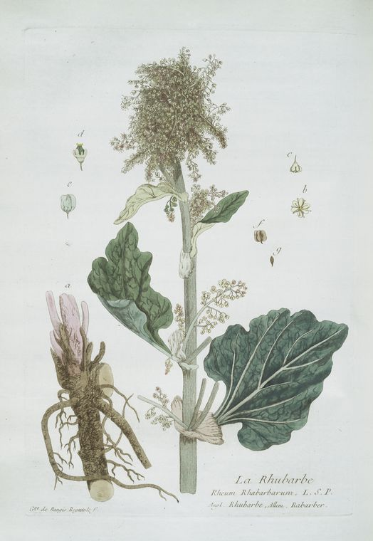 seriously zero fucks about the stalks