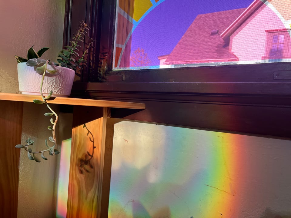 plant with trailing tendril, pink sun decal over window, rainbow on the wall and shadow cat ears