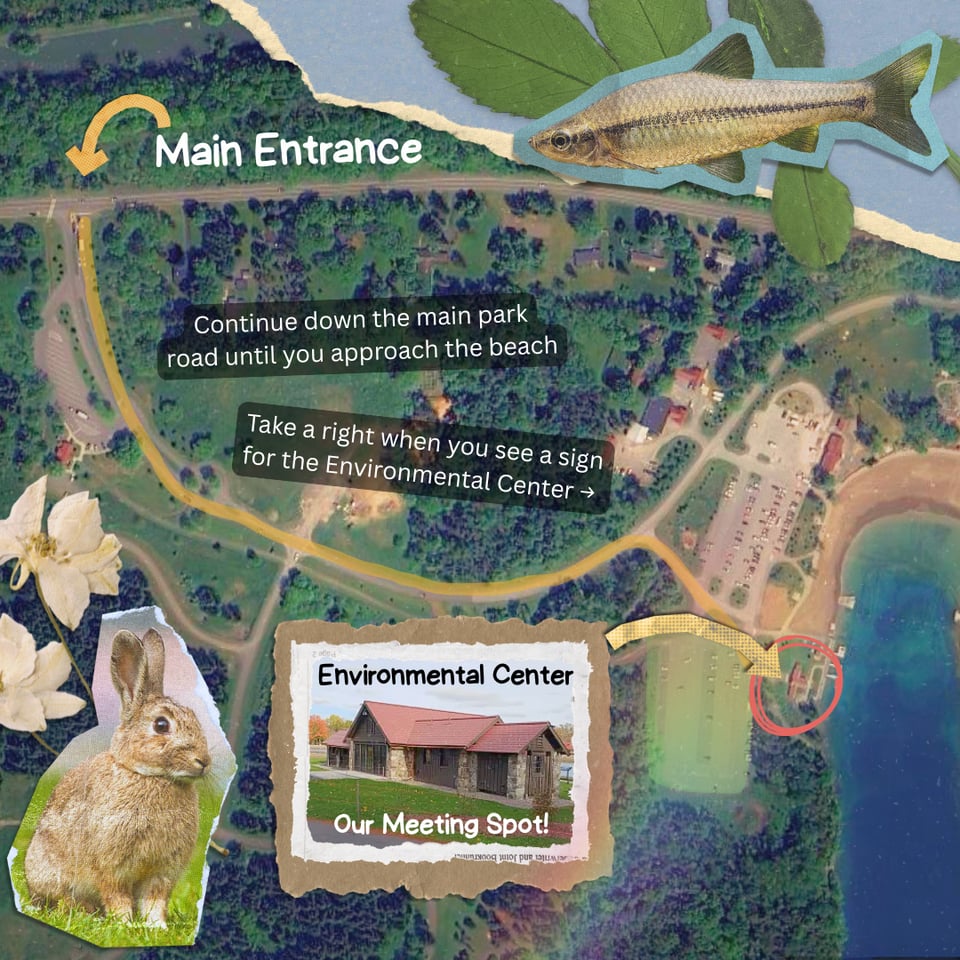 Enter through the Main Entrance. Continue down the main park road until you approach the beach. Take a right when you see a sign for the Environmental Center pointing right. Outside the environmental Center is our Meeting Spot!
