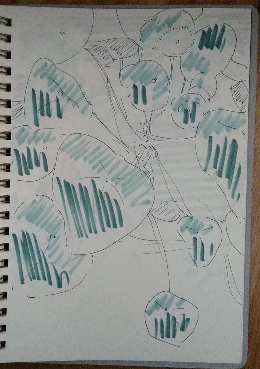 Cropped composition pen-and-marker sketch of a Pilea peperomioides