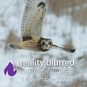 An owl flying across a snowy landscape with its wing extended high in the air; the words 'reality blurred newsletter issue 360, 3 November 2023'