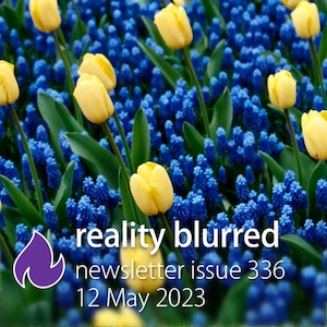 Yellow tulips in a field of smaller blue flowers, with the words 'reality blurred newsletter issue 336, 12 May 2023'