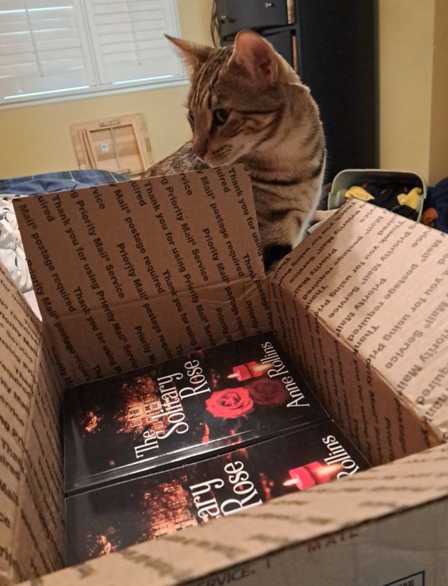 A brown tabby cat sits behind an open box of paperbook books. The books are all copies of Anne Rollins' "The Solitary Rose."