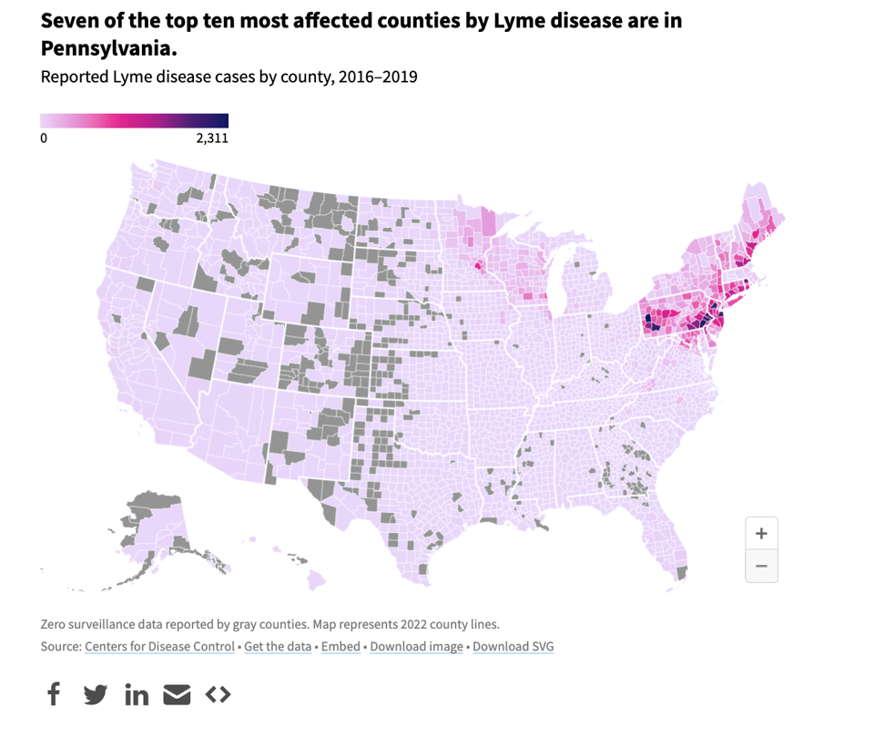 Screenshot 2024-06-14 at 11.08.28.png