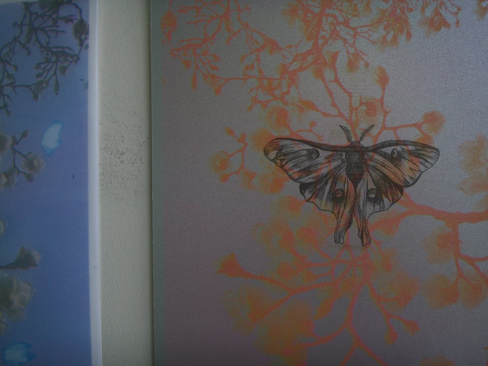 Part of Alayna Tinney's presentation at "Respond to Tree," curated by Robin Milliken at Oakland's Confloptus.