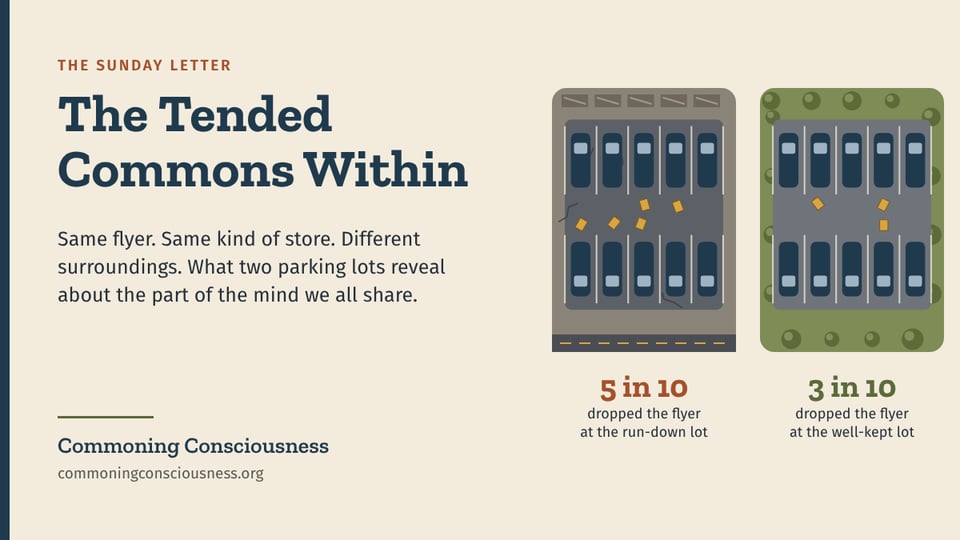 The Tended Commons Within” beside two top-down parking lots of ten cars each. The run-down lot has five yellow flyers on the ground, labeled “5 in 10 dropped the flyer.” The tree-lined lot has three, labeled “3 in 10.