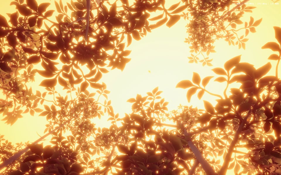 diffused light through a forest landscape