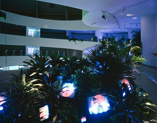 Several tv screens surrounded by a lush garden of potted plants, palm fronds obscuring the television glow.