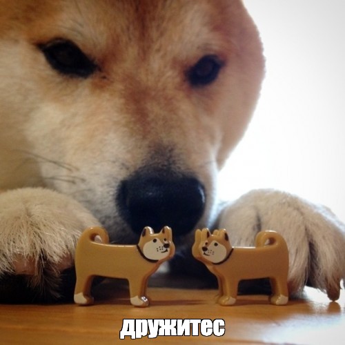 Two dogs meme with the label "дружитес"