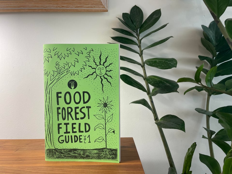A green paper zine printed with black ink, titled "Food Forest Field Guide vol. 1" and also there's a sun, and a sunflower, and a tree. It's resting on a wood table next to a houseplant. It feels whimsical and hand-crafted.