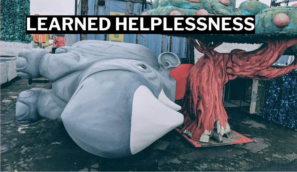 A photo I took of a statue of a rhinoceros lying on its side, looking kind of goofy and helpless, with a magic Asian tree next to it. The banner says LEARNED HELPLESSNESS