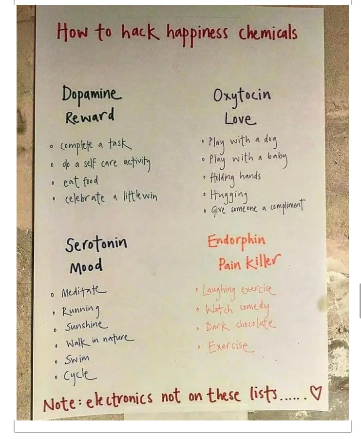 A handwritten poster titled "how to hack happiness chemicals." There are four groups of items. The first is labled "Dopamine--Reward" and includes the items "complete a task," "do a self care activity," "eat food," and celebrate a little win." Under "Serotonin--mood" there is "meditate," "running," "sunshine," "walk in nature," "swim," and "cycle." Under 'Oxytocin--love," is "play with a dog," "play with a baby," "holding hands," "hugging," and "give someone a compliment." Under "endorphin--pain killer" is "laughing exercise," "watch comedy," "dark chocolate," and "exercise." A note at the bottom says "electronics not on these lists." I'm still glad you opened this newsletter on your computer though.