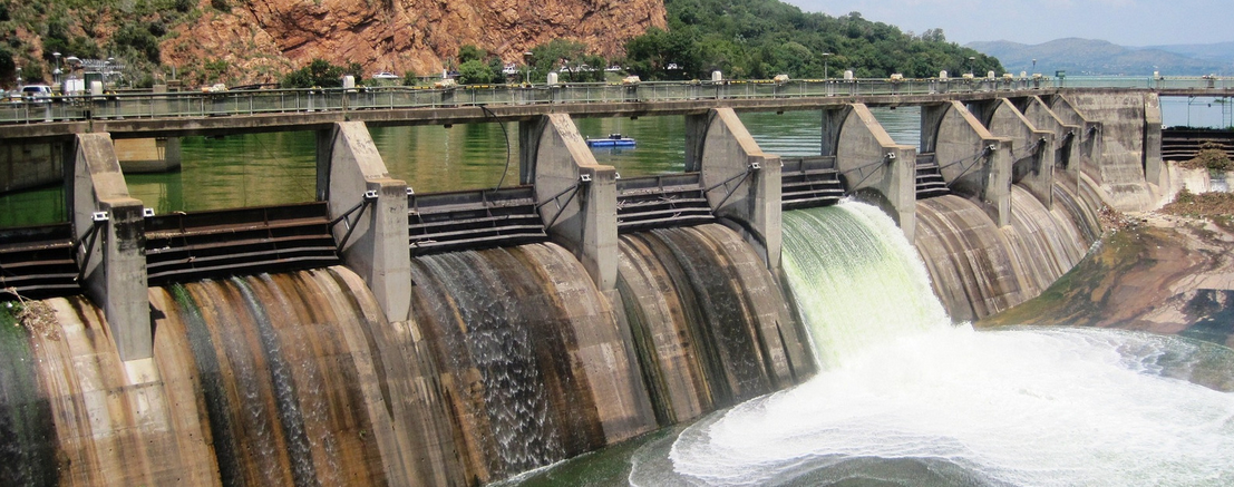 Vol. 7 - What happens to food webs after environmental catastrophes?