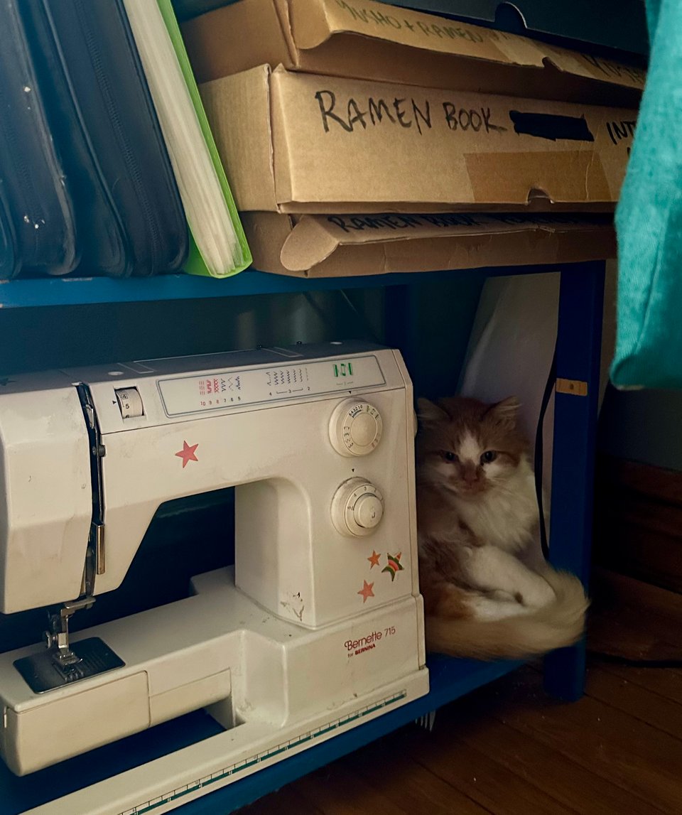 a small orange and white cat curled into the corner of a bookshelf next to a sewing machine