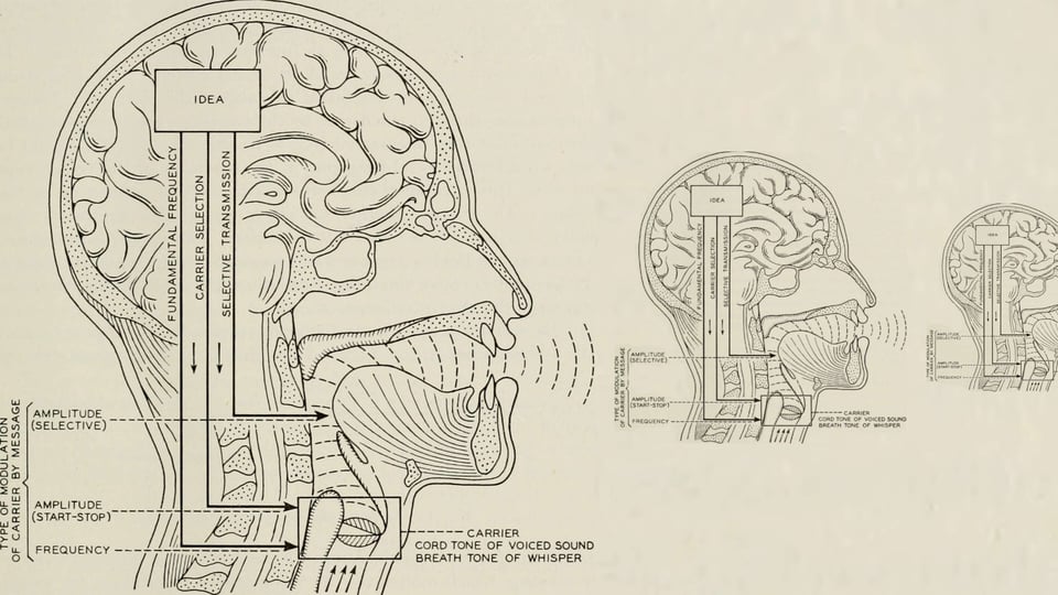 Bell Labs diagram showing an x-ray of a human skull, with a diagram flowing from "IDEA" (in the brain) to "CARRIER" (the throat), using the human head as an analogy for a telephone or computing device