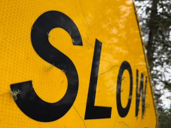 A portion of a yellow reflective road sign reads “SLOW” in uppercase black letters. Small tufts of grayish-green lichen grows on various spots upon the sign. A tree can be be seen behind and beyond the sign; its leaves are reflected on the surface of the sign.