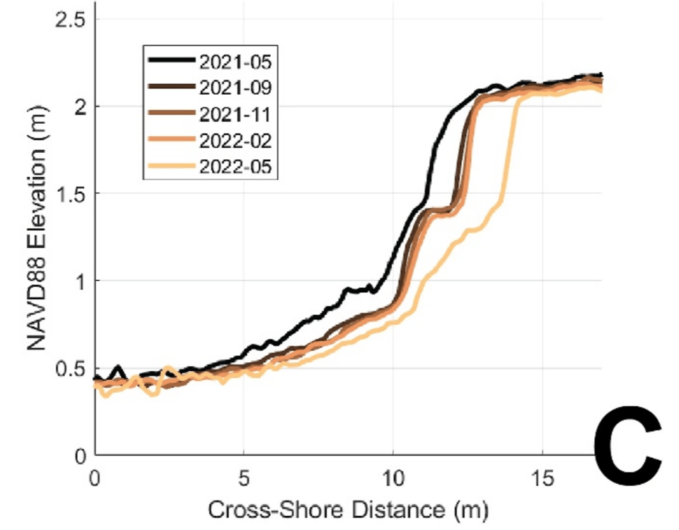 Screenshot 2026-02-01 at 08.49.03.png