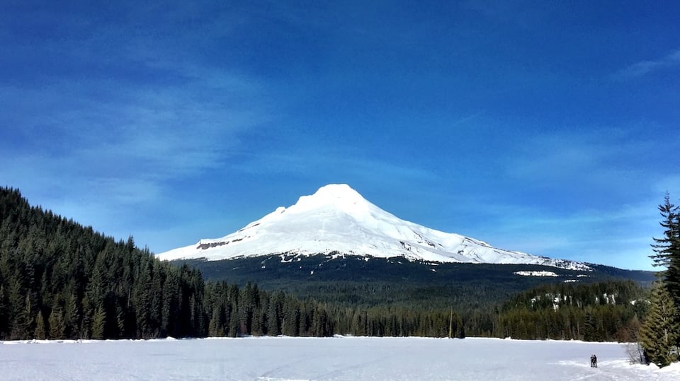 Forever on Our Mind: One Step After Another