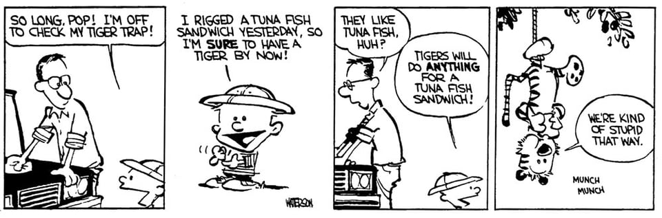 The first episode of Calvin and Hobbes, November 18, 1985, with Calvin wearing a sfaari-style hat telling his father about a tiger trap in the first panel, and Hobbes, the tiger, hanging upside down from the trap eating a tuna sandwich in the last panel