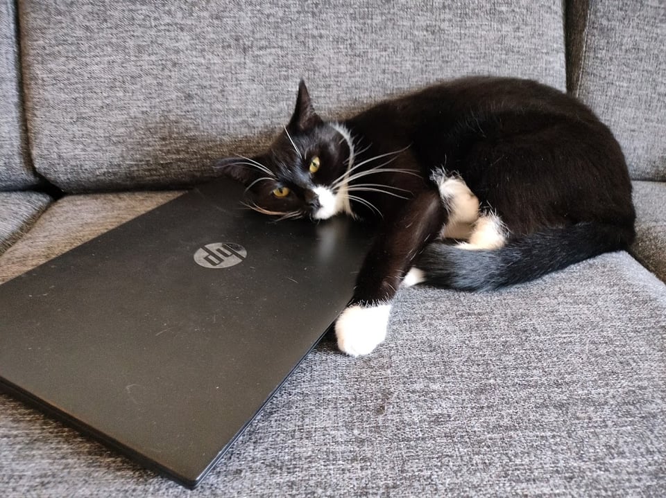 yoshi is a GAMER?!? (confirmed??)