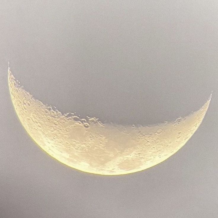 crescent moon in gray sky