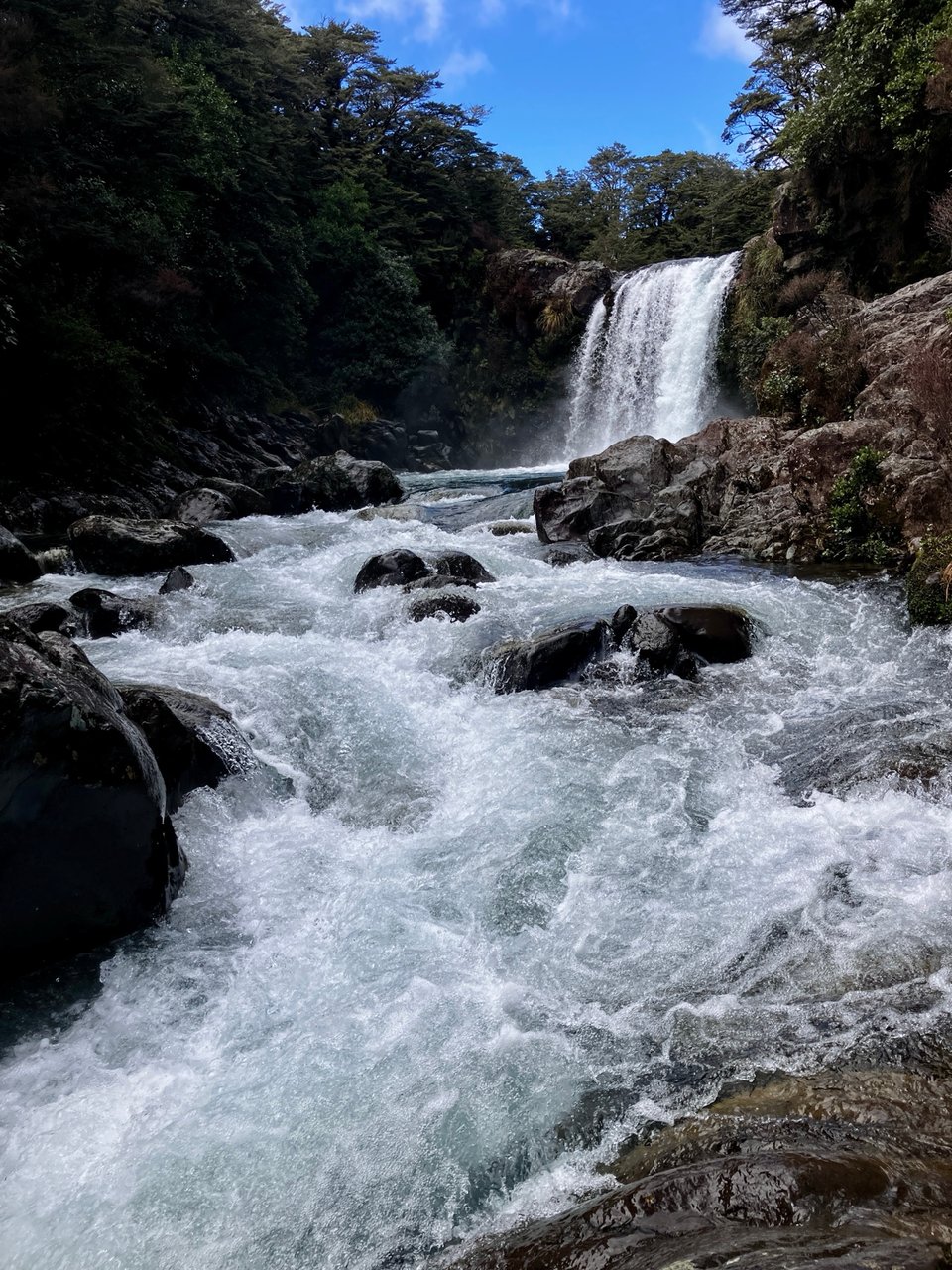 A vibrant waterfall cascades down rocky cliffs into a turbulent river, surrounded by lush greenery and a bright blue sky.