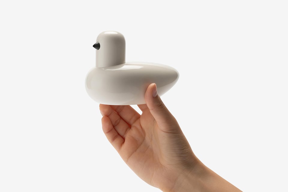 Seoul Bird being held up by a hand