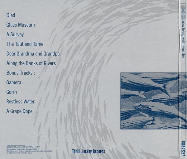 The back cover of Tortoise’s MILLIONS NOW LIVING WILL NEVER DIE with the track listing. What’s important is the third track is called “A Survey."