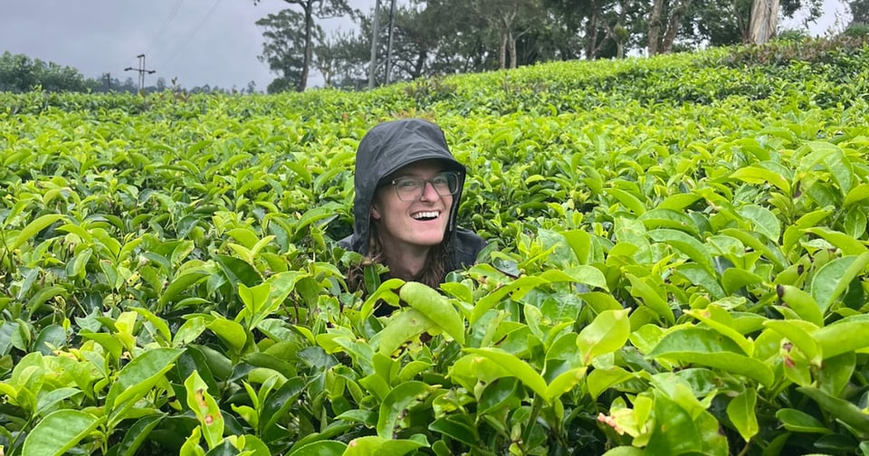 A JMC student wearing a hooded jacket and glasses is smiling while standing among lush green tea plants. The scene takes place in an expansive, terraced tea plantation under an overcast sky.