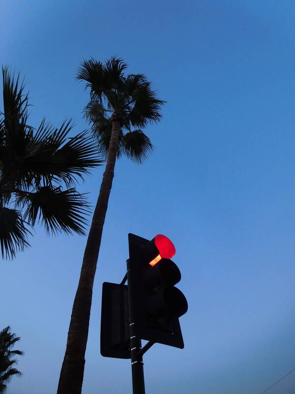 A tall palm tree and a stop light silhoutted against a blue evening sky