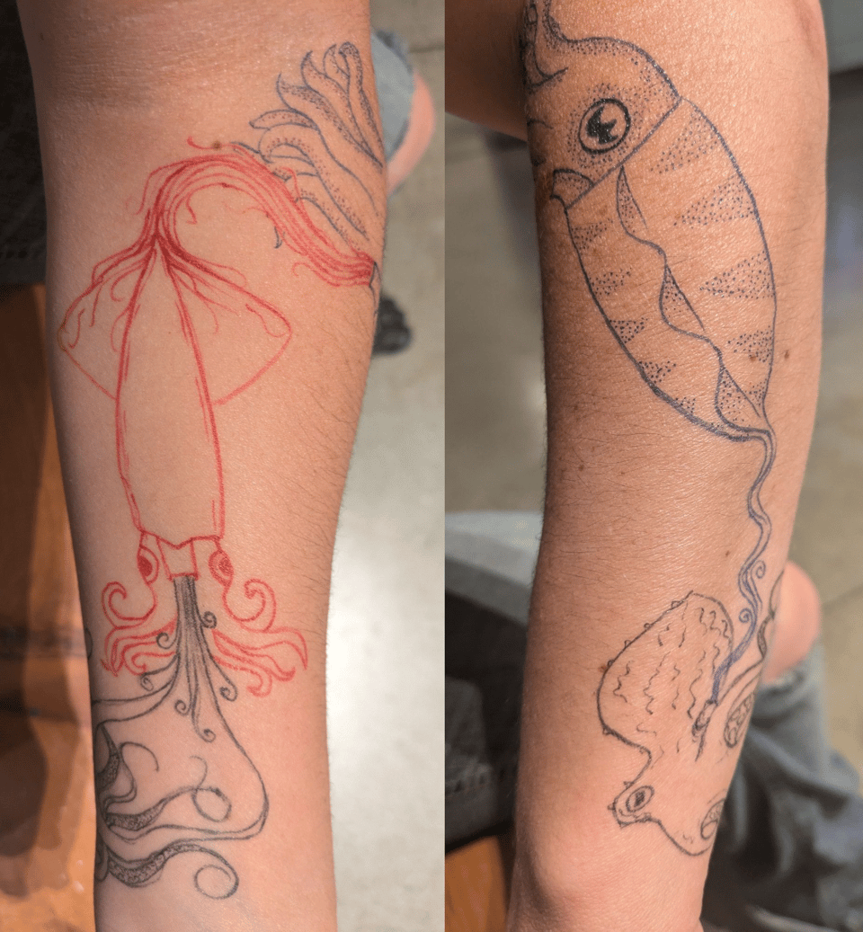 A red squid squirts ink in the shape of a black octopus, who inks a blue cuttlefish, whose red ink becomes the squid.