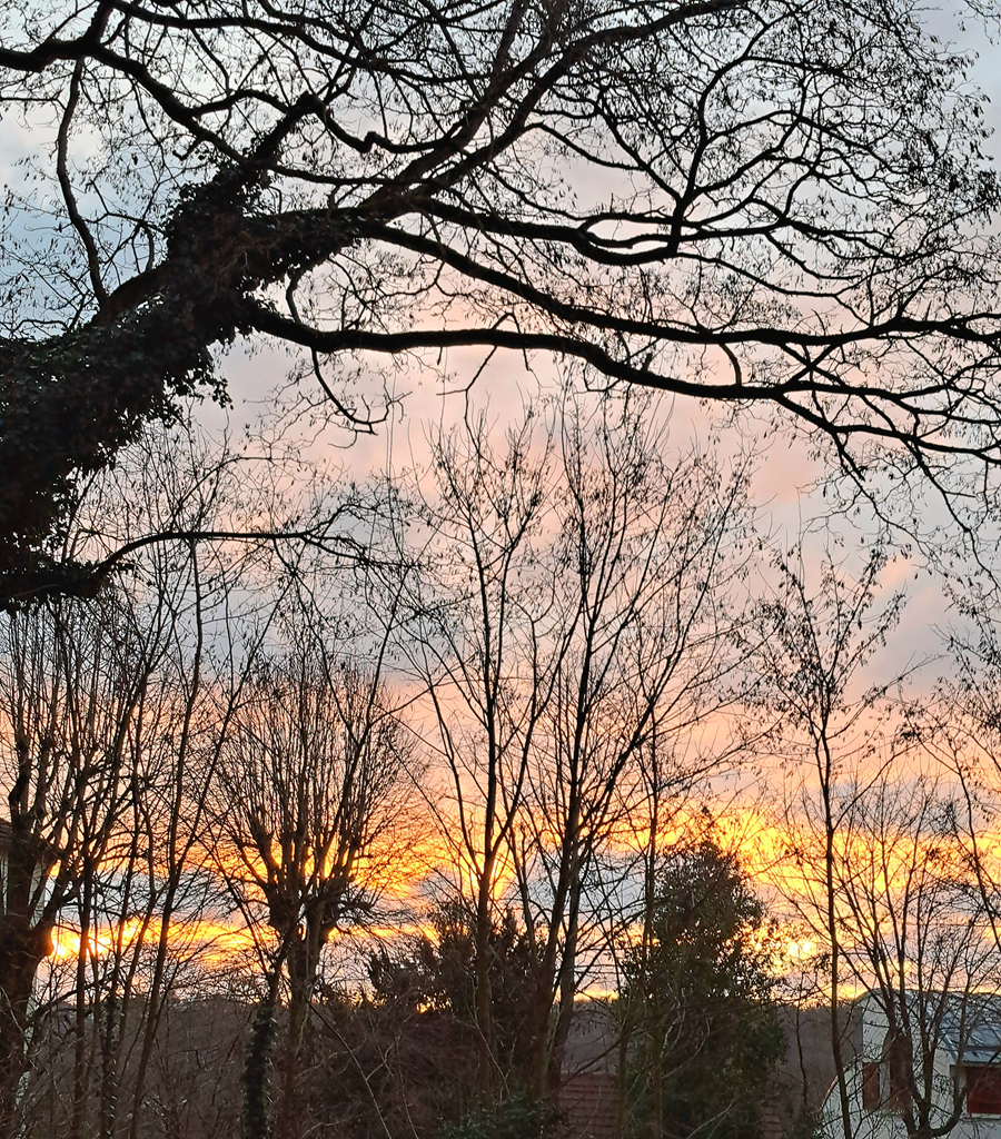 This Sunday's hangouts