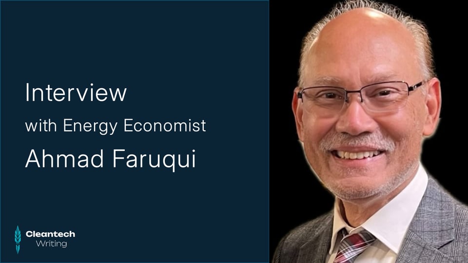 Banner: Interview with Energy Economist Ahmad Faruqui