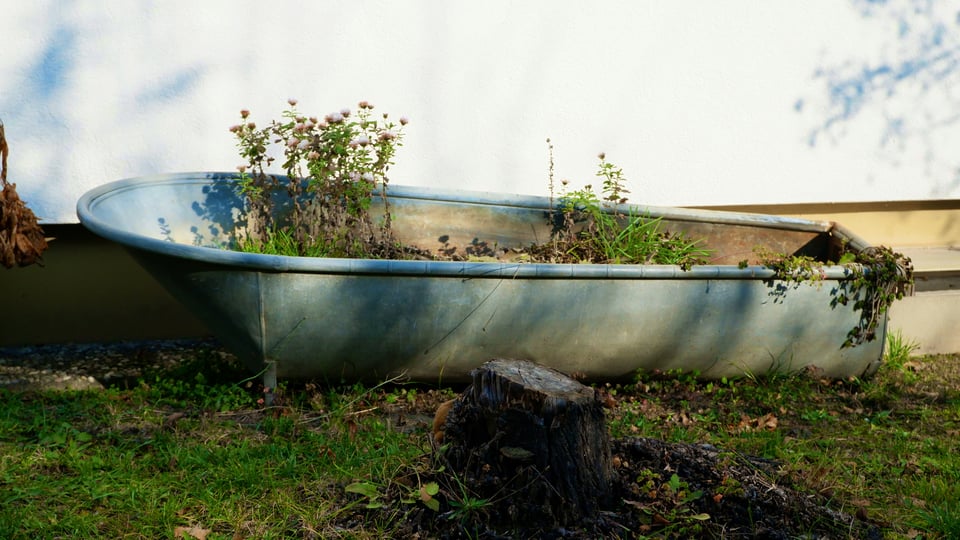 A bathtub out in the yard filled with dirt and plants