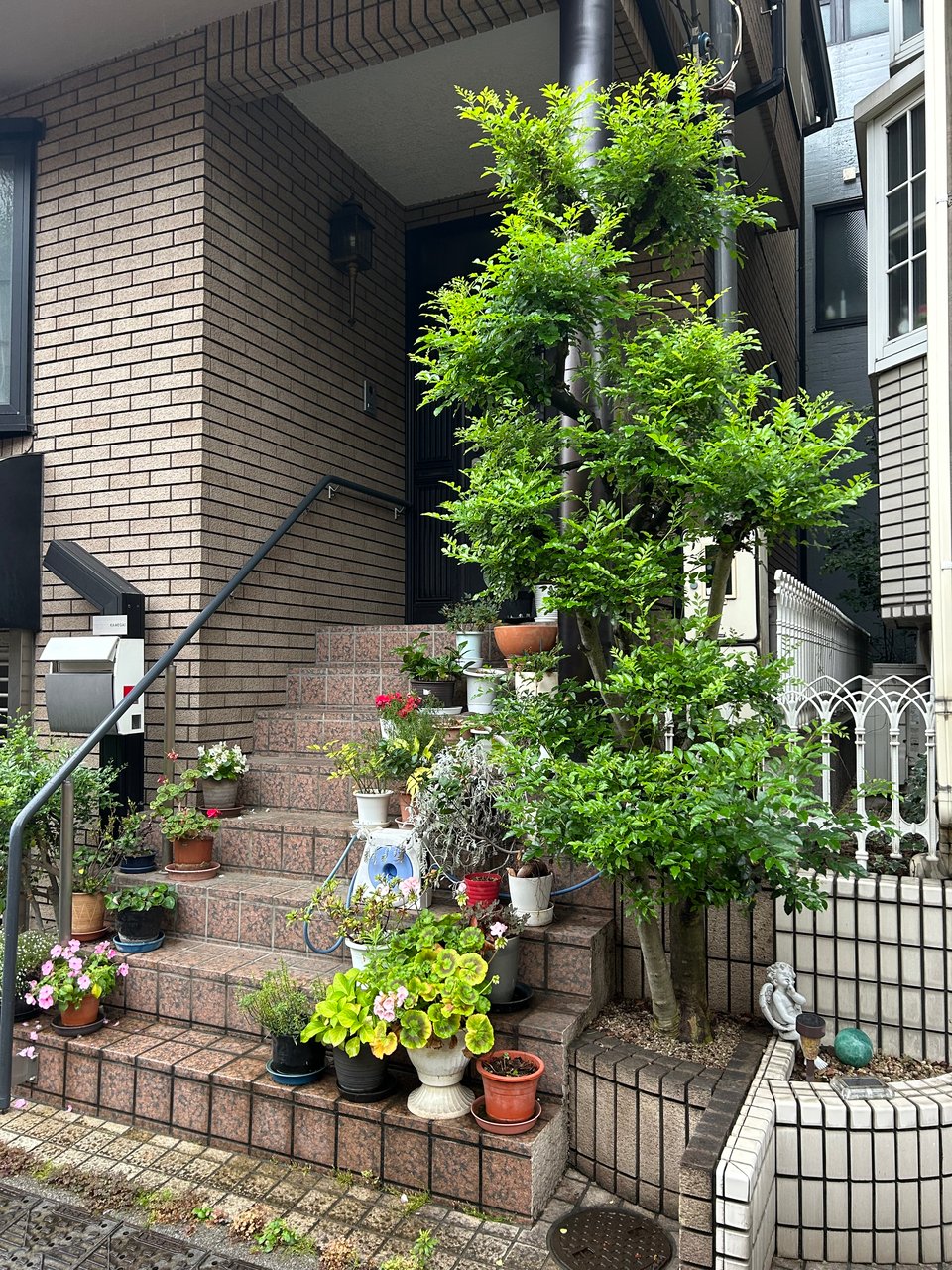 many colorful flowers in a variety of containers, and one tall young tree adorn the front steps of an apartment house in central Tokyo.