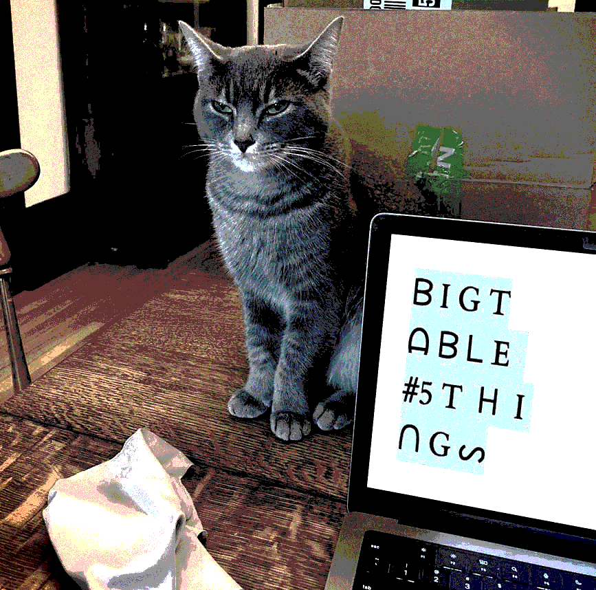 A cat sits on a table next to a computer that has been poorly photoshopped to display the text "Big Table Number 5 T H I N G S" in cool text