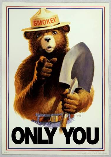 Only You Smokey Bear poster