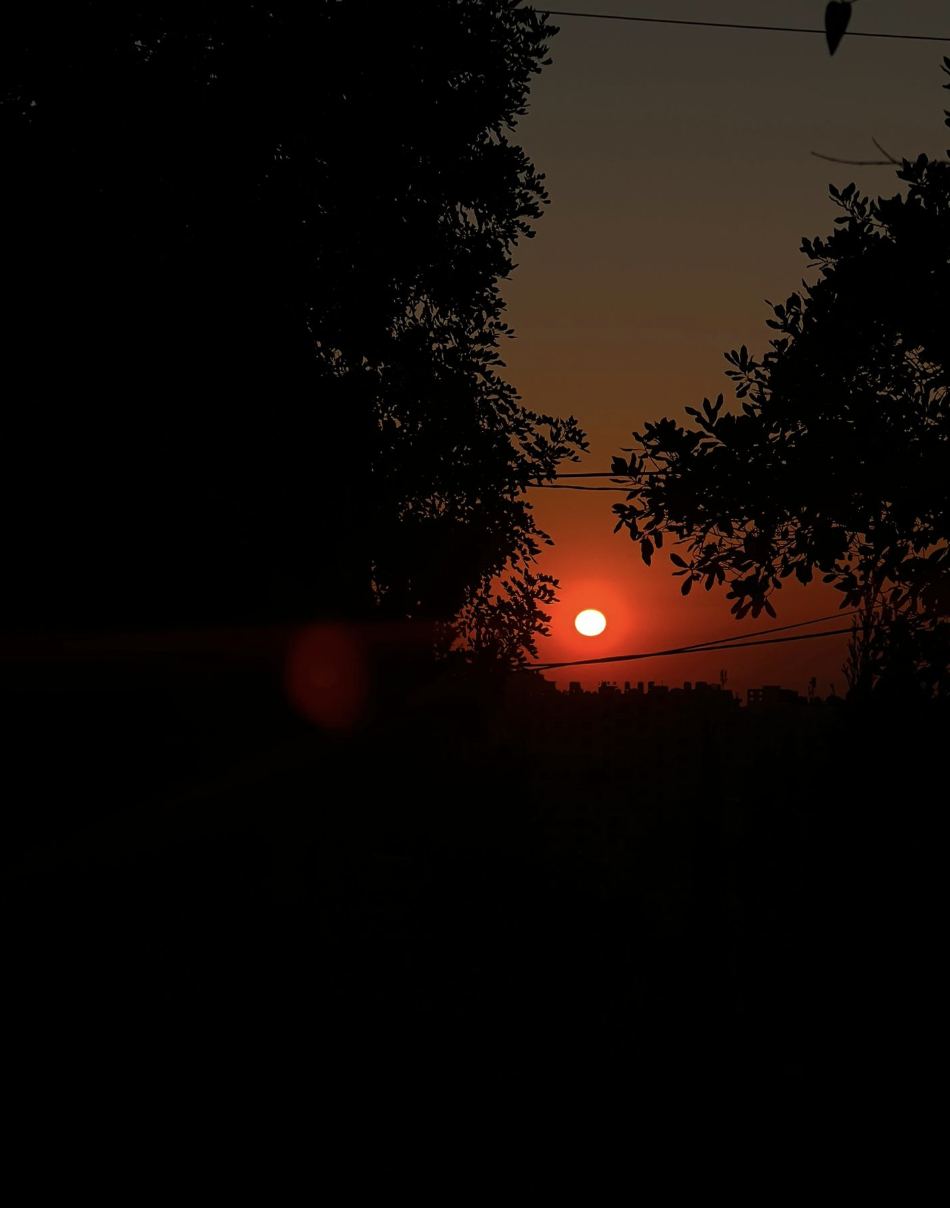 A bright glowing white sun against an orange sky framed by trees in the darkness
