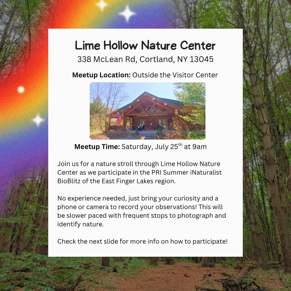 Location: Lime Hollow Nature Center.
Address: 338 McLean Rd, Cortland, NY 13045.
Meetup Location: Outside the Visitor Center.
Meetup Time: Saturday, July 25th at 9am.
Join us for a nature stroll through Lime Hollow Nature Center as we participate in the PRI Summer iNaturalist BioBlitz of the East Finger Lakes region.
No experience needed, just bring your curiosity and a phone or camera to record your observations! This will be slower paced with frequent stops to photograph and identify nature.
Check the next image for more info on how to participate!