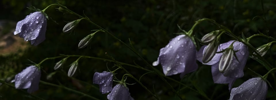 Bronwyn Schuster's Artist Notes: A Fine Junuary Day