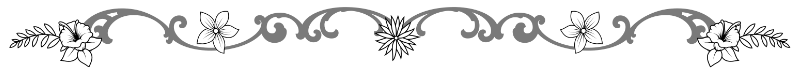 Section Divider