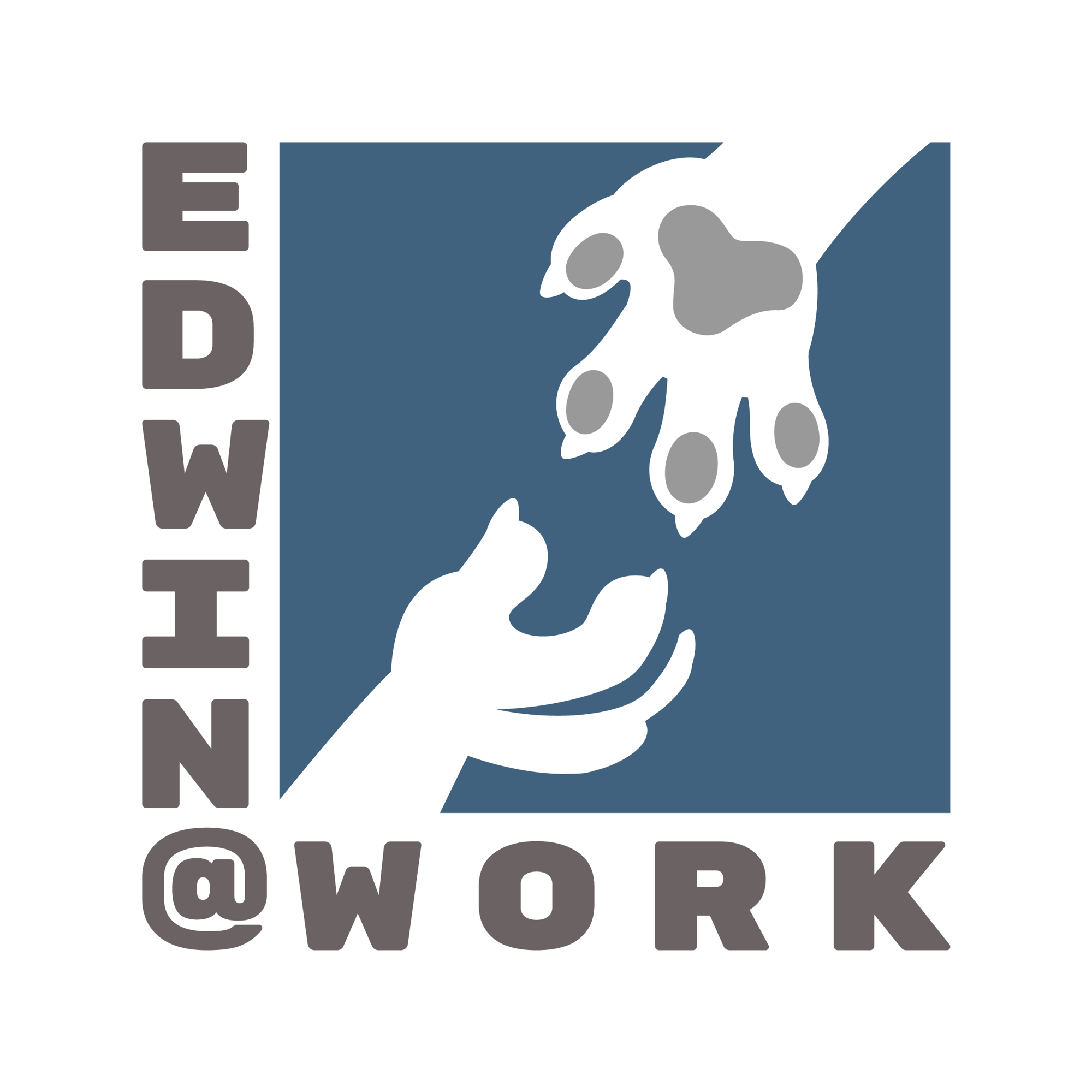 Edwin Update • Buttondown