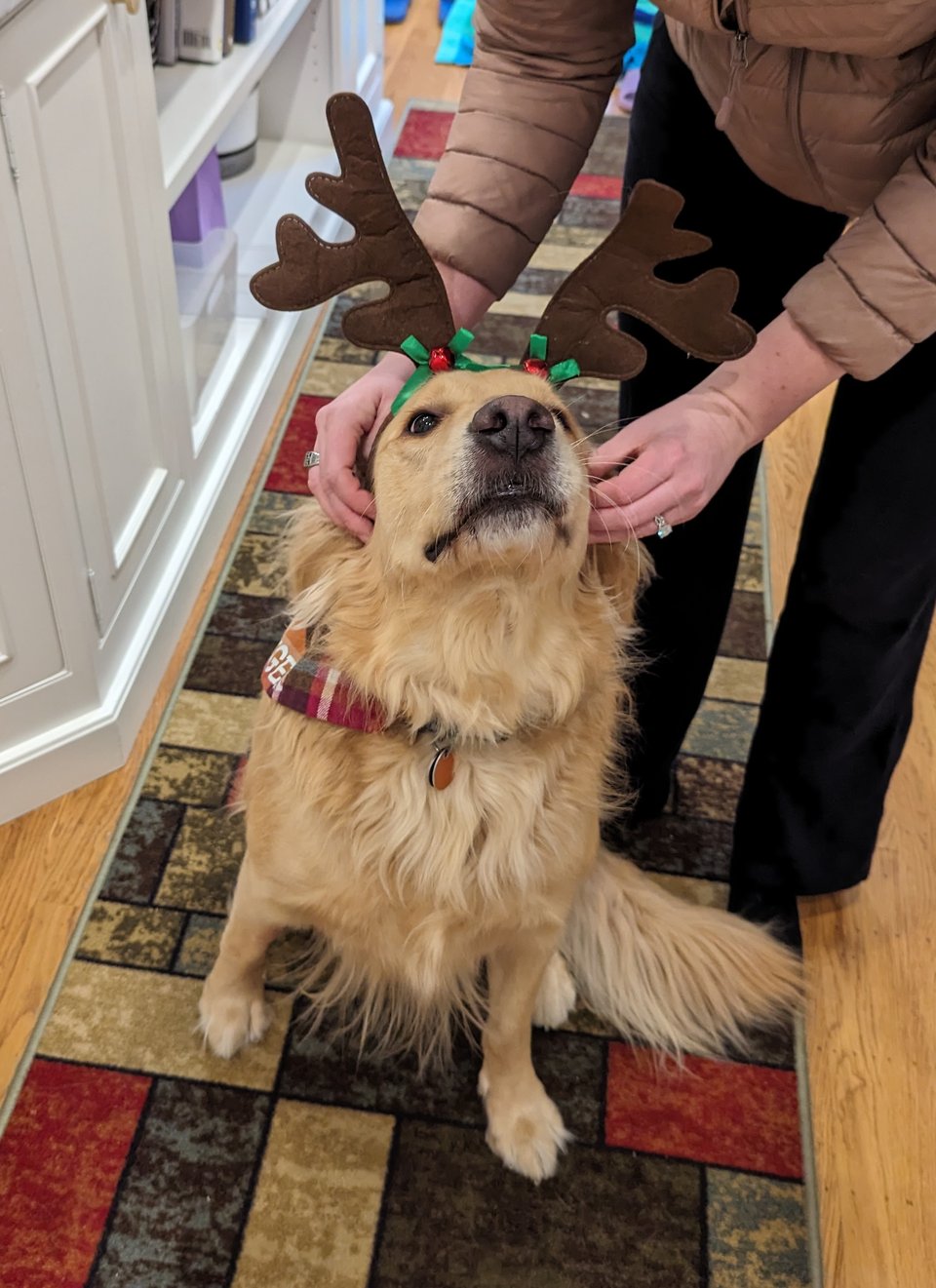 New blog post: Performance engineering, profilers, and seeing the invisible