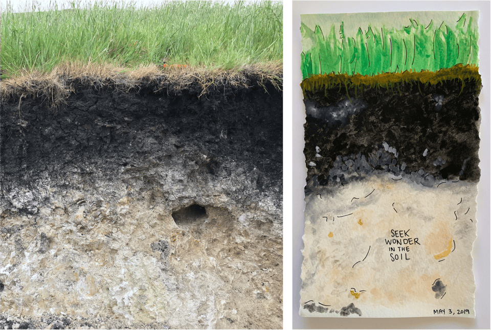 A photo of my soil friend that I took (left) and an early watercolor painting that I made based on that reference photo (right).