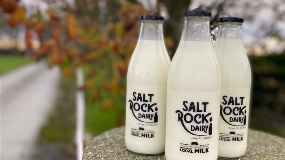 Three recyclable, glass bottles of local milk from Saltrock Dairy stand in front of a blurry autumn tree. The cream that has floated to the top of the milk is visile as a slightly darker band.