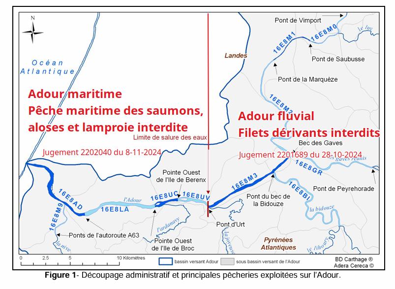 Carte de l'Adour et zonage des deux jugements récents qui annulent la pêche des poissons migrateurs anadromes.