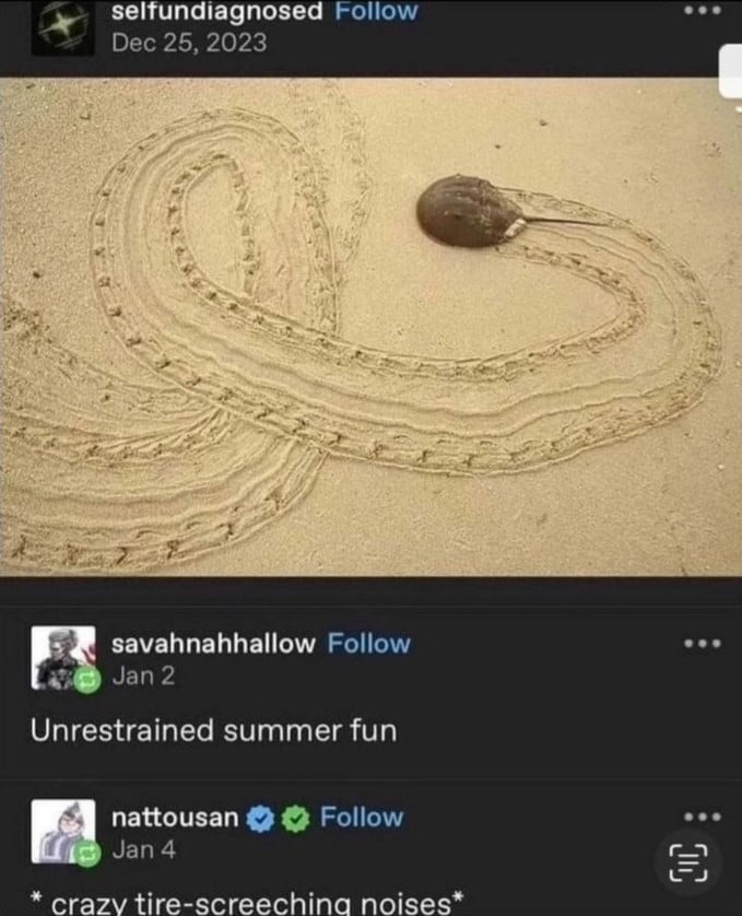 A round critter with a long pointy tail bit sticking out the back, doing loop-de-loops on the sand at the beach. // savahnahhallow: "Unrestrained summer fun" // nattousan *crazy tire-screeching noises*