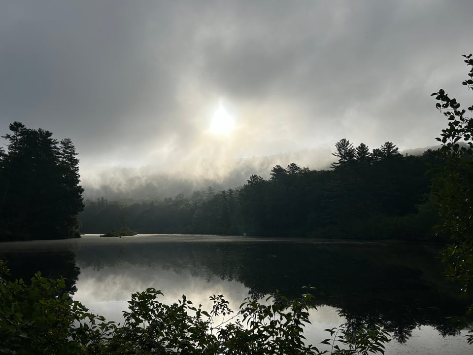 High contrast image of the sun shining through mist over the outline of a hemlock forest, with a lake in the foreground reflecting the forest and sky.